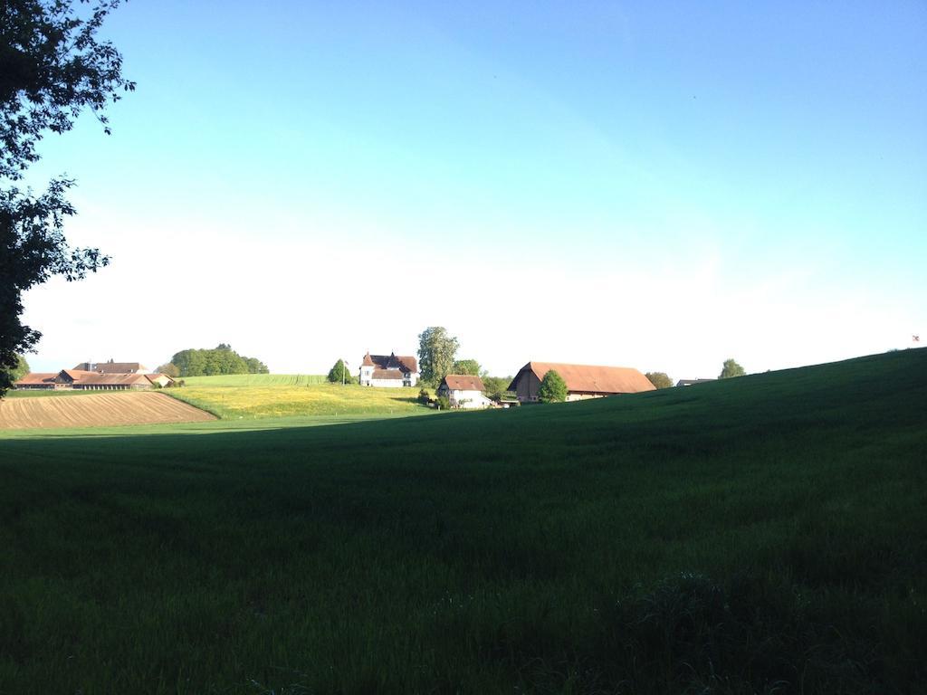 Bed and Breakfast Au Jardin Zuchwil Екстер'єр фото